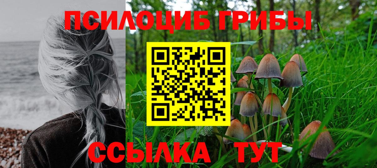 Псилоцибиновые грибы GOLDEN TEACHER Железногорск